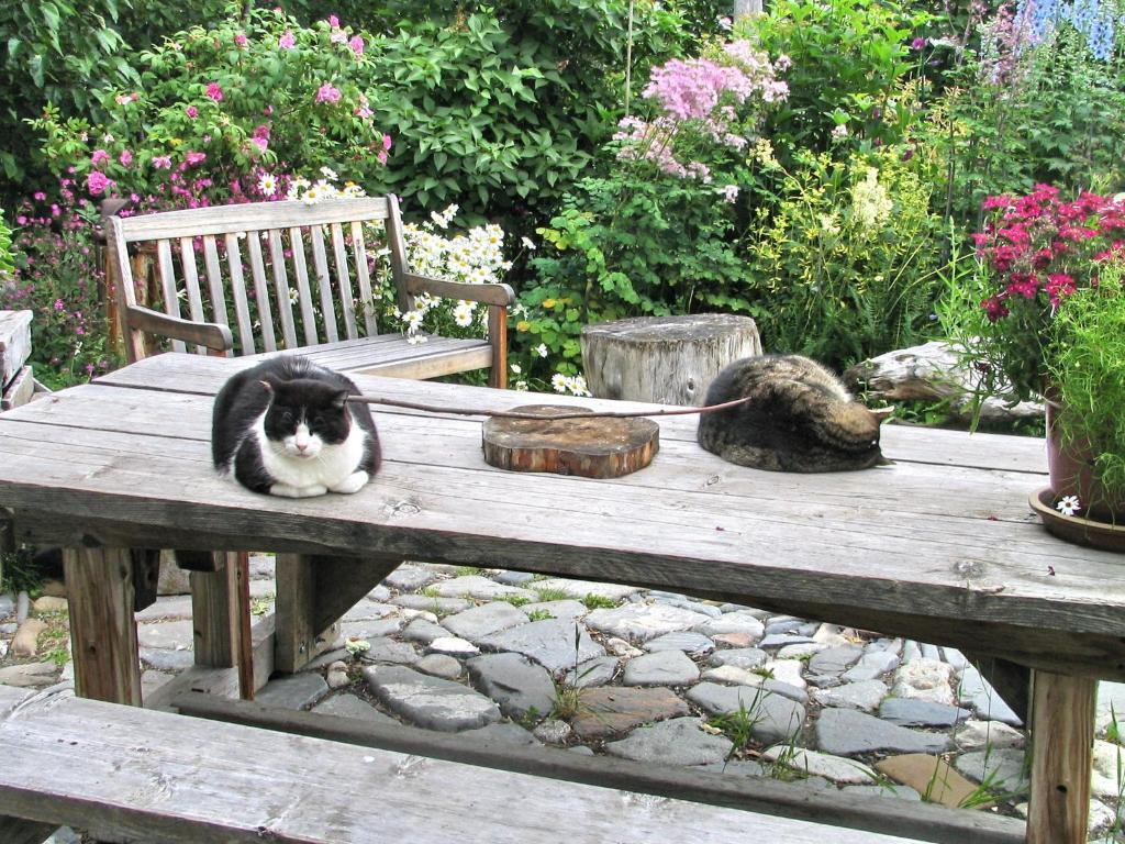 Brigitte'S Bavarian Bed Und Breakfast Millers Landing Quarto foto